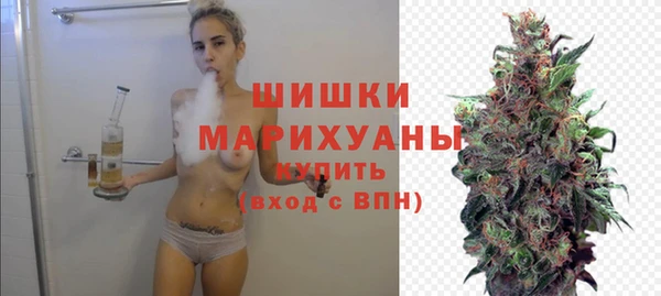 стаф Козельск