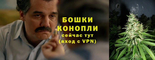 ГАЛЛЮЦИНОГЕННЫЕ ГРИБЫ Козловка