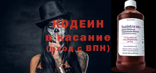 ГАЛЛЮЦИНОГЕННЫЕ ГРИБЫ Козловка