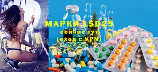 ГАЛЛЮЦИНОГЕННЫЕ ГРИБЫ Козловка