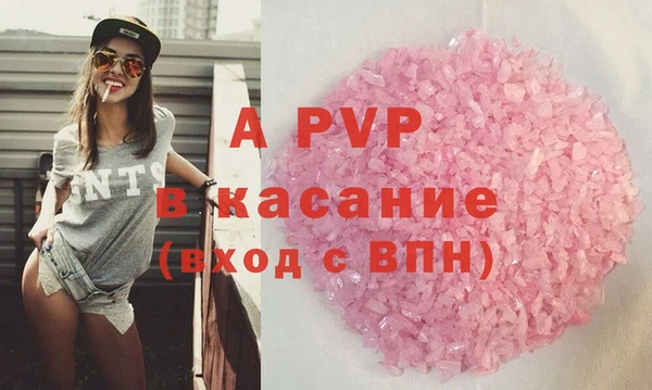 стаф Козельск