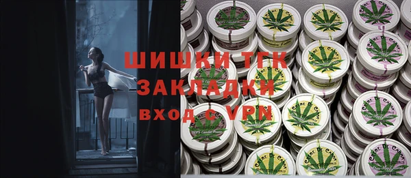 стаф Козельск