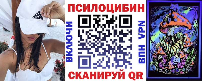 Купить  Вятские Поляны  Псилоцибиновые грибы Psilocybe 